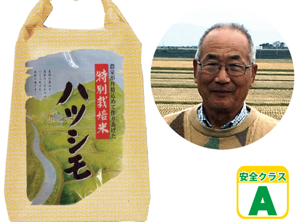 ケリ米ハツシモ