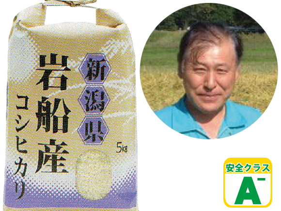 新潟こしひかり